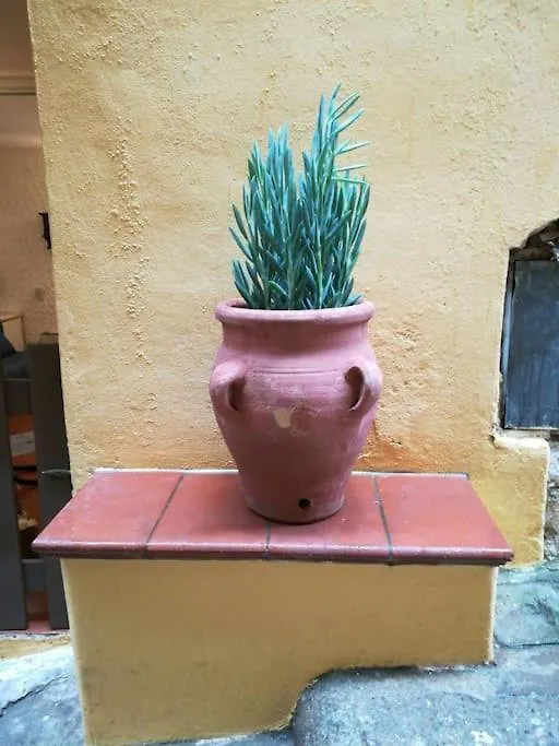 Apartment Casa Luna Capoliveri